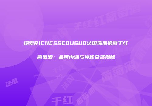探索RICHESSEDUSUD法国瑞斯银爵干红葡萄酒：品牌内涵与神秘命名揭秘