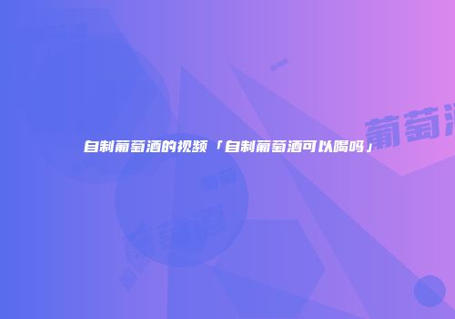 自制葡萄酒的视频「自制葡萄酒可以喝吗」