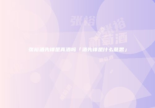 张裕酒先锋是真酒吗「酒先锋是什么意思」