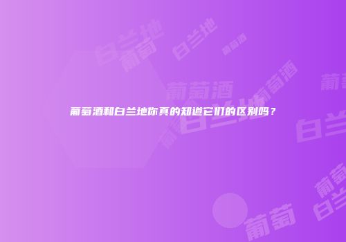 葡萄酒和白兰地你真的知道它们的区别吗？