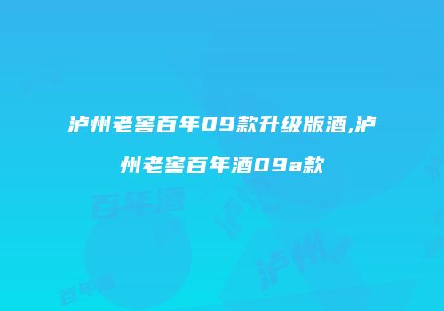 泸州老窖百年09款升级版酒,泸州老窖百年酒09a款