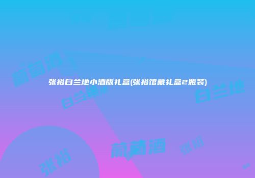 张裕白兰地小酒版礼盒(张裕馆藏礼盒2瓶装)