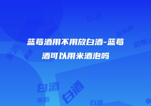 蓝莓酒用不用放白酒-蓝莓酒可以用米酒泡吗