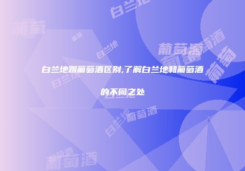 白兰地跟葡萄酒区别,了解白兰地和葡萄酒的不同之处