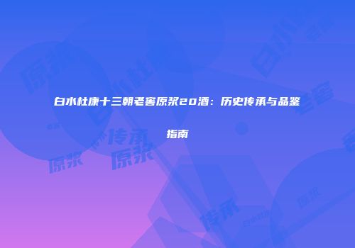 白水杜康十三朝老窖原浆20酒：历史传承与品鉴指南