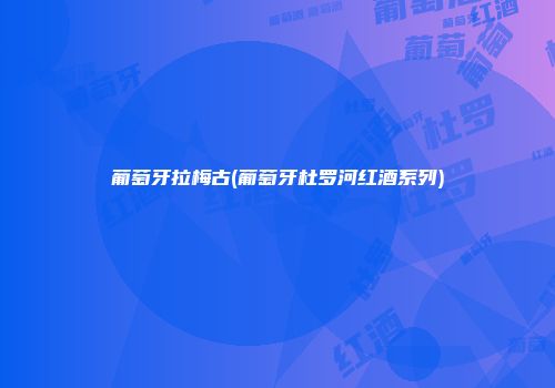 葡萄牙拉梅古(葡萄牙杜罗河红酒系列)