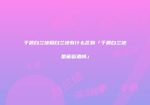 干邑白兰地和白兰地有什么区别「干邑白兰地是葡萄酒吗」