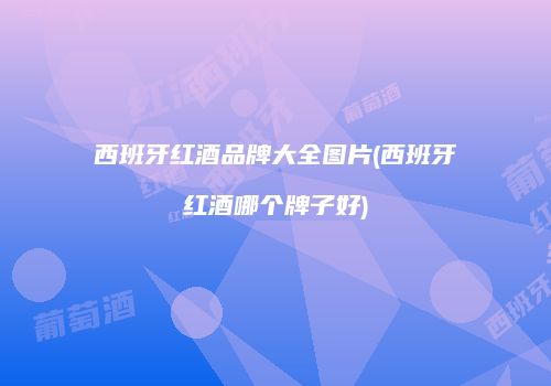 西班牙红酒品牌大全图片(西班牙红酒哪个牌子好)