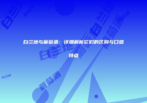 白兰地与葡萄酒：详细解析它们的区别与口感特点