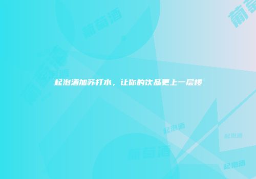 起泡酒加苏打水，让你的饮品更上一层楼