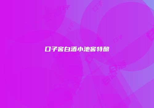 口子窖白酒小池窖特酿