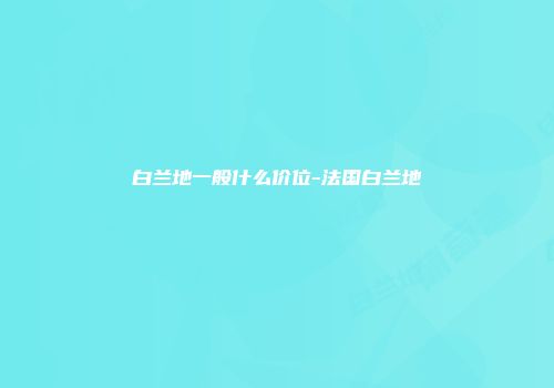 白兰地一般什么价位-法国白兰地