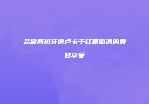 品尝西班牙唐卢卡干红葡萄酒的美妙享受
