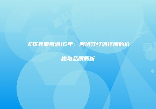 卡布其葡萄酒16年：西班牙红酒佳酿的价格与品质解析