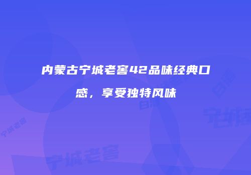 内蒙古宁城老窖42品味经典口感，享受独特风味