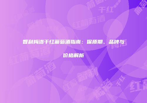 智利梅洛干红葡萄酒指南：保质期、品牌与价格解析