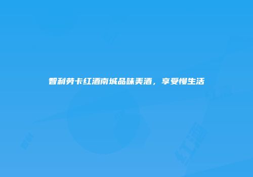 智利劳卡红酒南城品味美酒，享受慢生活