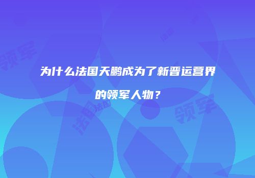 为什么法国天鹏成为了新晋运营界的领军人物？