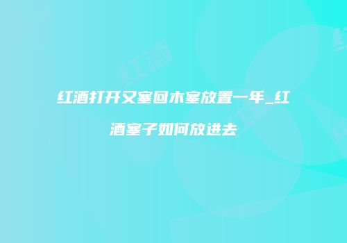 红酒打开又塞回木塞放置一年_红酒塞子如何放进去
