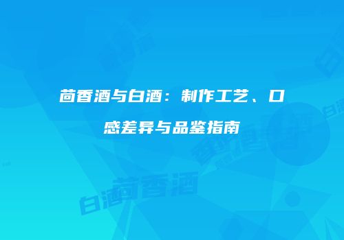 茴香酒与白酒：制作工艺、口感差异与品鉴指南