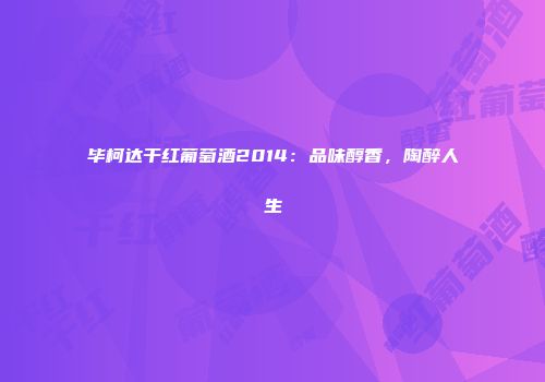 毕柯达干红葡萄酒2014：品味醇香，陶醉人生
