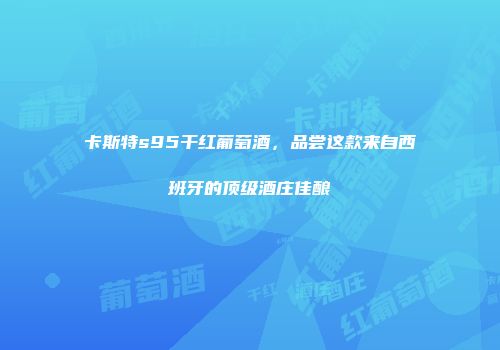 卡斯特s95干红葡萄酒，品尝这款来自西班牙的顶级酒庄佳酿