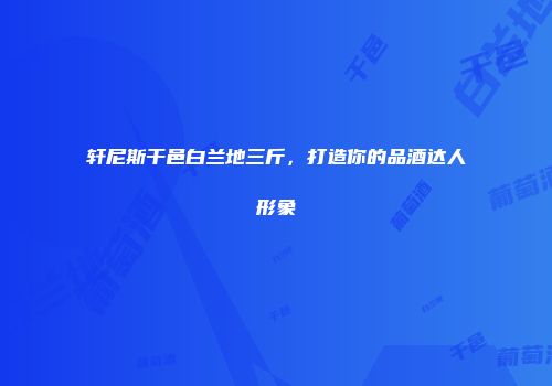 轩尼斯干邑白兰地三斤，打造你的品酒达人形象