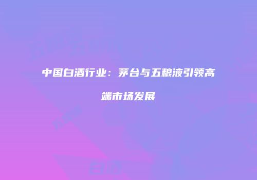 中国白酒行业：茅台与五粮液引领高端市场发展