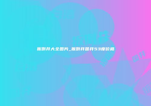 扳倒井大全图片_扳倒井国井53度价格