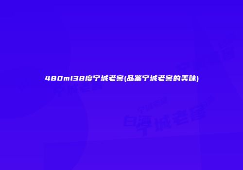 480ml38度宁城老窖(品鉴宁城老窖的美味)