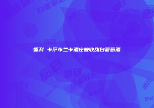 智利 卡萨布兰卡酒庄晚收甜白葡萄酒