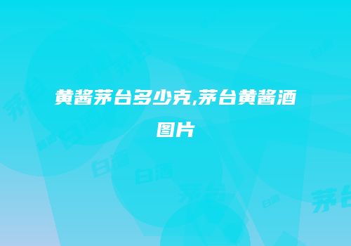 黄酱茅台多少克,茅台黄酱酒图片