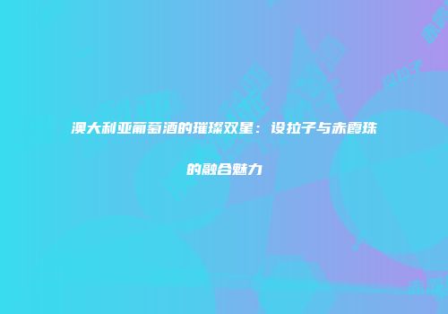 澳大利亚葡萄酒的璀璨双星：设拉子与赤霞珠的融合魅力