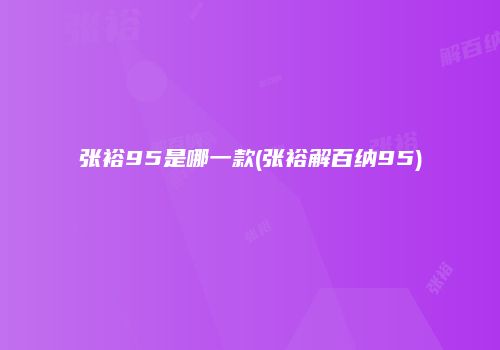 张裕95是哪一款(张裕解百纳95)