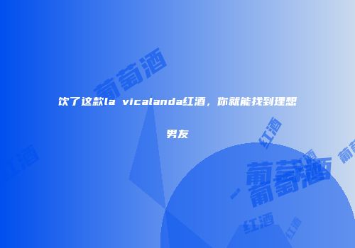 饮了这款la vicalanda红酒，你就能找到理想男友