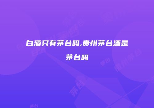 白酒只有茅台吗,贵州茅台酒是茅台吗