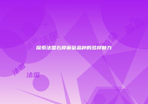 探索法国右岸葡萄品种的多样魅力
