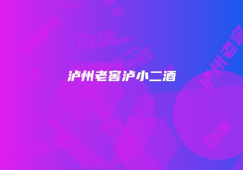 泸州老窖泸小二酒