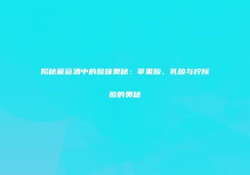 揭秘葡萄酒中的酸味奥秘：苹果酸、乳酸与柠檬酸的奥秘