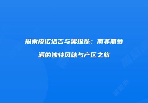 探索皮诺塔吉与黑珍珠：南非葡萄酒的独特风味与产区之旅