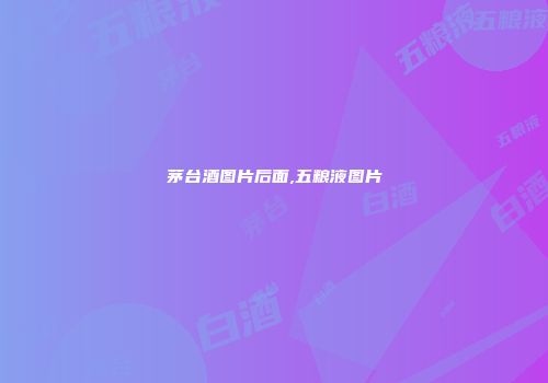 茅台酒图片后面,五粮液图片