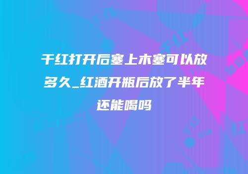 干红打开后塞上木塞可以放多久_红酒开瓶后放了半年还能喝吗