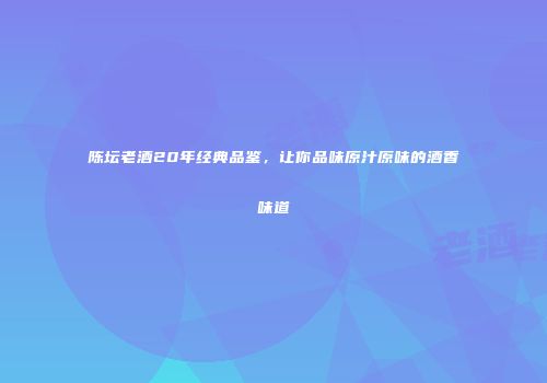陈坛老酒20年经典品鉴，让你品味原汁原味的酒香味道