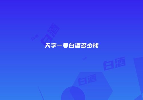 天字一号白酒多少钱