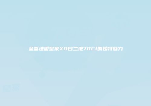 品鉴法国皇家XO白兰地70Cl的独特魅力