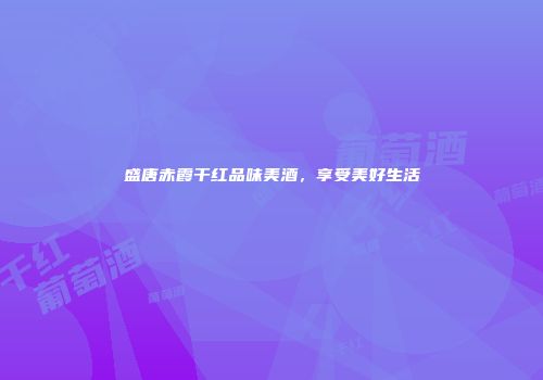 盛唐赤霞干红品味美酒，享受美好生活