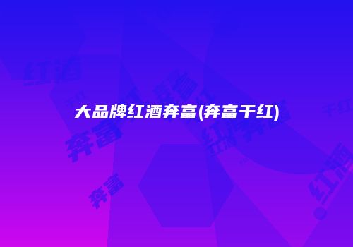 大品牌红酒奔富(奔富干红)