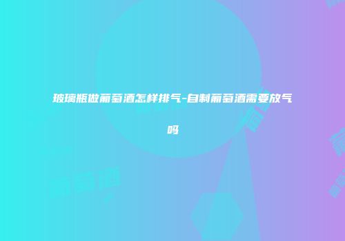 玻璃瓶做葡萄酒怎样排气-自制葡萄酒需要放气吗