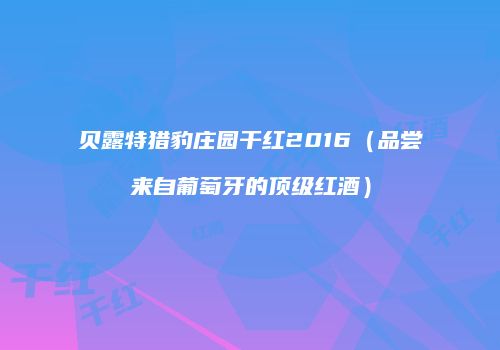 贝露特猎豹庄园干红2016（品尝来自葡萄牙的顶级红酒）