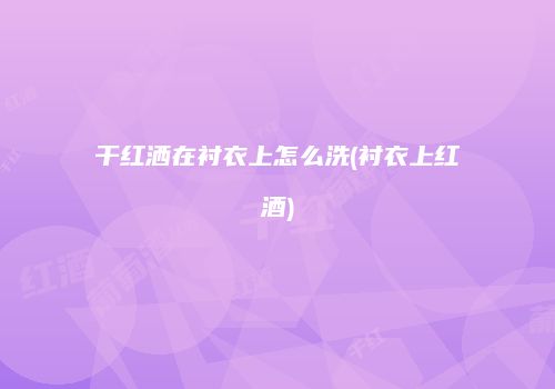 干红洒在衬衣上怎么洗(衬衣上红酒)